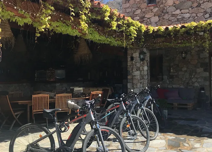 A Muvrella Bed & Breakfast