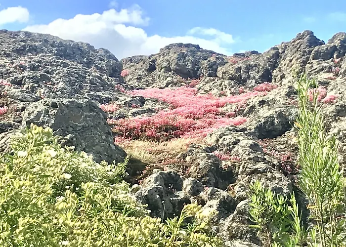 Bed & Breakfast A Muvrella 3*