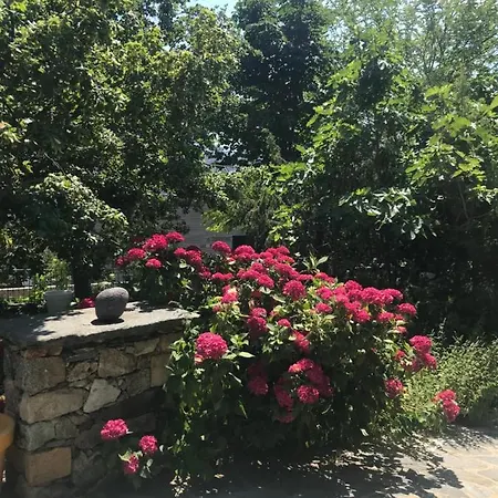 Bed and breakfast A Muvrella Pioggiola