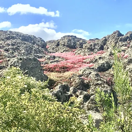 Bed & Breakfast A Muvrella 3*