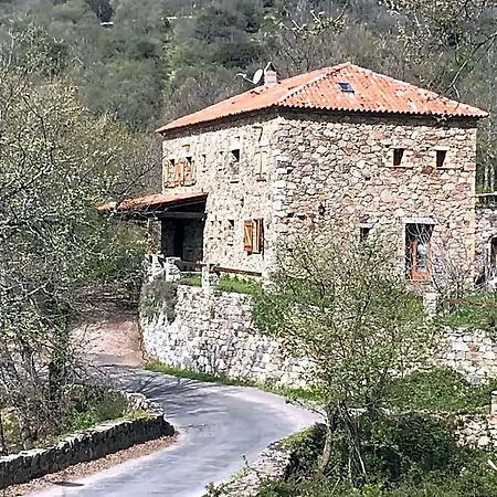 A Muvrella