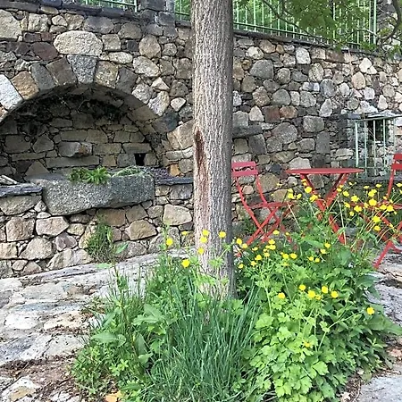 A Muvrella