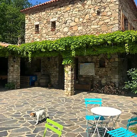 A Muvrella Bed & Breakfast 3*