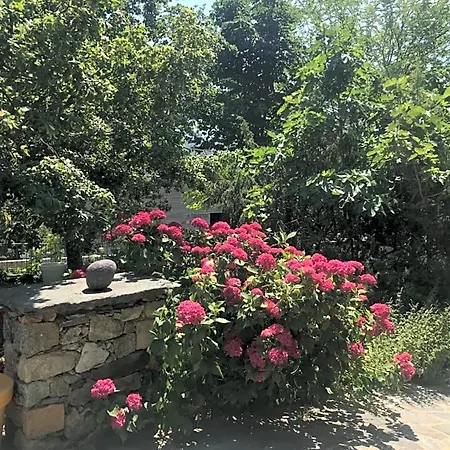 A Muvrella Bed & Breakfast Pioggiola