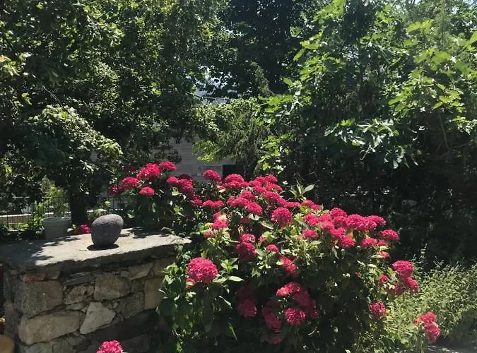 Bed & Breakfast A Muvrella Pioggiola