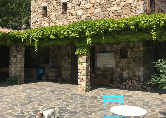 A Muvrella